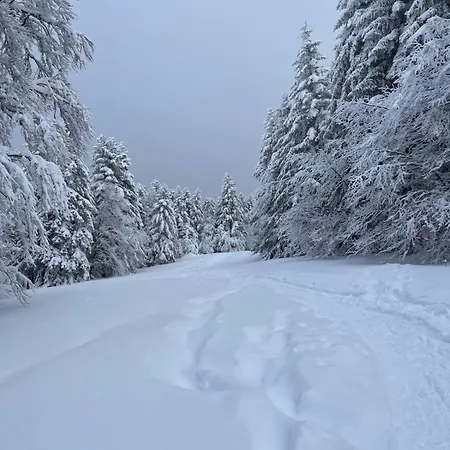 Le Refuge Des Marmottes - Vue Imprenable *